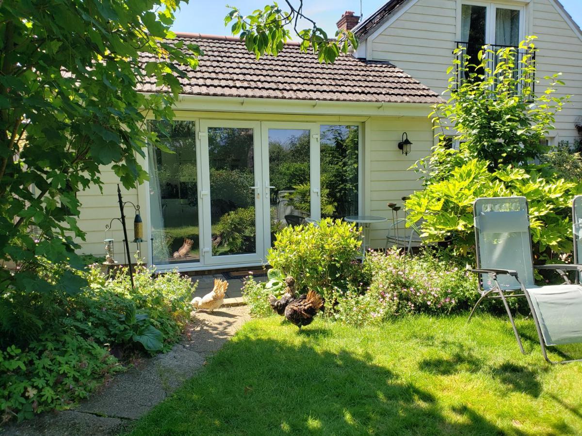 Luxury Self Catering With Cosy Cabin & Sauna In Colchester Exterior foto